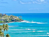 a view of a beach with palm trees and a view of the ocean